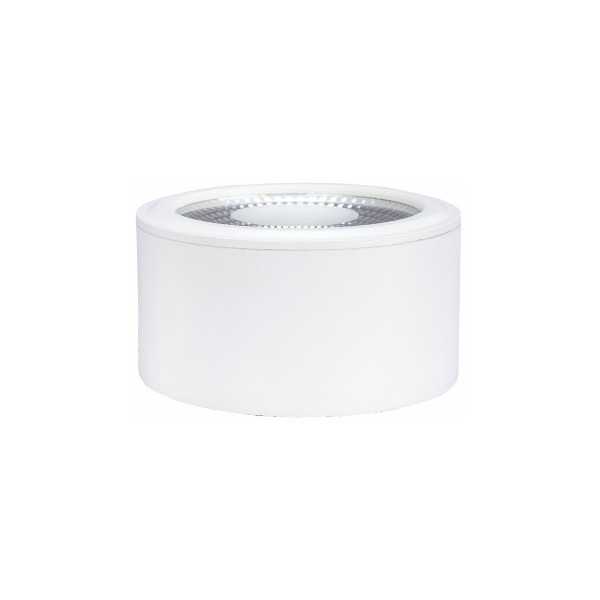 LED SURFACE MOUNTED DOWN LIGHT-10WATTS-WH BODY-WHITE