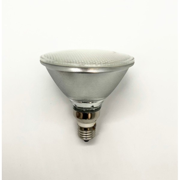 GARDEN LAMP-PAR38-80WATTS-WARM WHITE