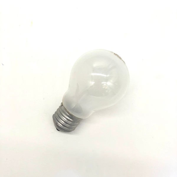 NORMAL HALOGEN LAMP-75WATTS-E27-L4