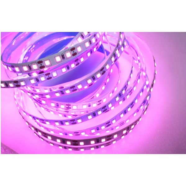 DC24V LED STRIP LIGHT IP20-PINK-8MM