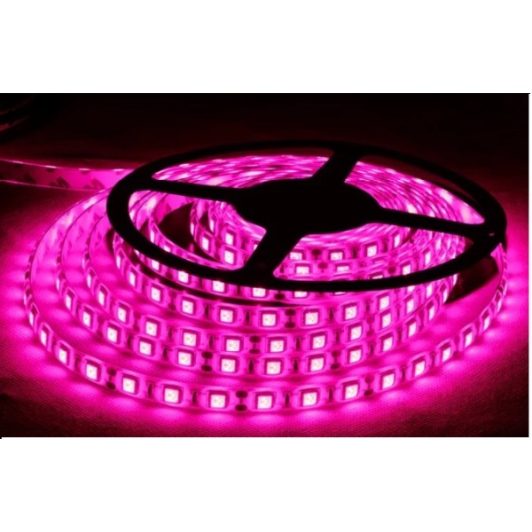 DC12V LED STRIP LIGHT IP65-PURPLE