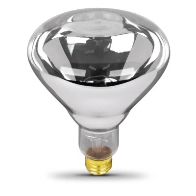 250W CLEAR INCANDESCENT R40...