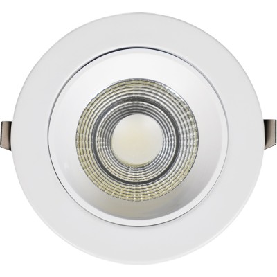 COB LED Down Light - 12W -...