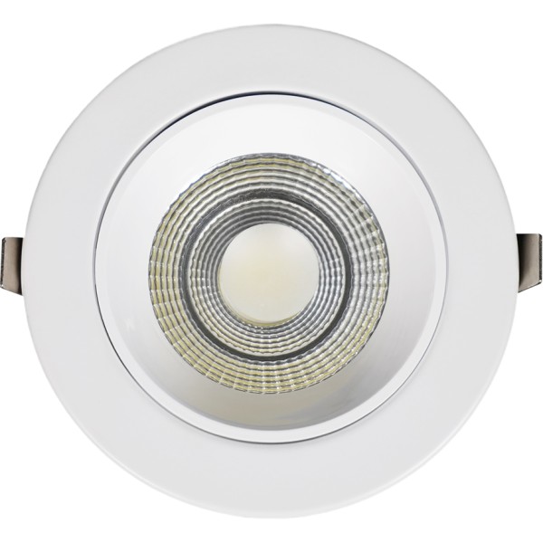 COB LED Down Light - 12W - 4000K