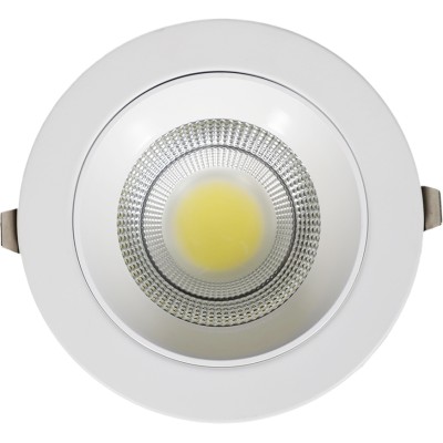 COB LED Down Light - 24W -...