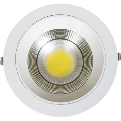 COB LED Down Light - 30W -...