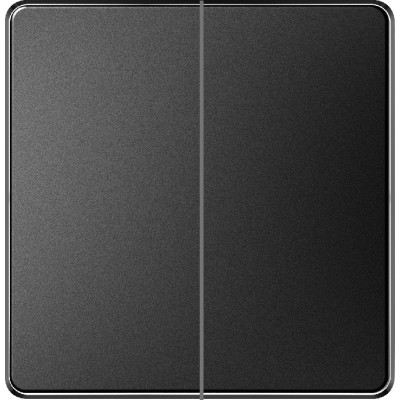 2 GANG 2 WAY PLATE SWITCH -...