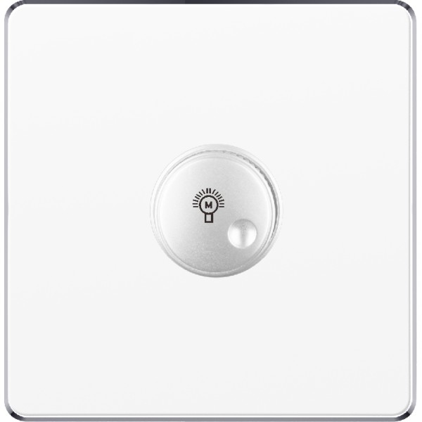LIGHT DIMMER SWITCH - WHITE