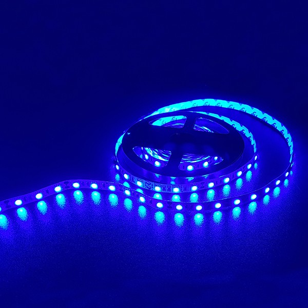 DC12V LED STRIP LIGHT IP33-BLUE