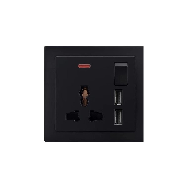 SINGLE MF SOCKET WITH 2 USB-BLACK SERIES